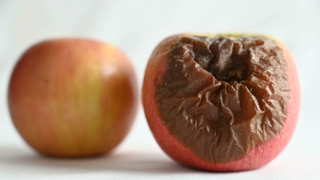 M&auml;danenud &otilde;un