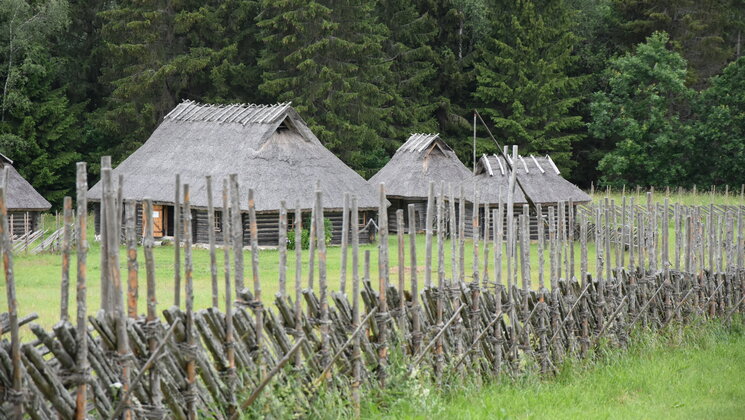 Vargamäe